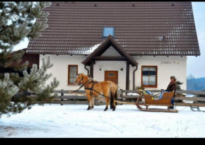Dom w sercu Kaszub in Parchowo
